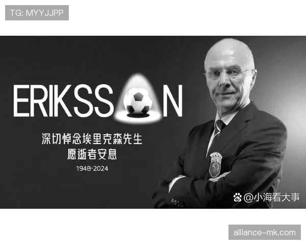 瑞典球迷黄蓝军团齐聚,共迎国家队关键赛事 瑞典球迷黄蓝军团齐聚,共迎国家队关键赛事