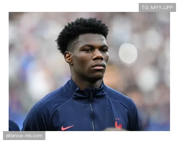 琼阿梅尼国家队地位是否被高估？战术适配与实战表现分析